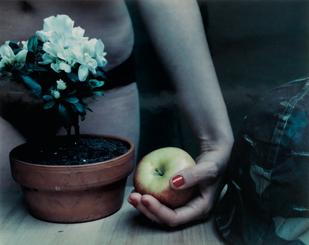 STEVEN KLEIN (1965- ) Still life with Apple.